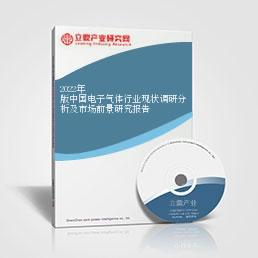 2022年版中國電子氣體行業現狀調研分析及市場前景研究報告